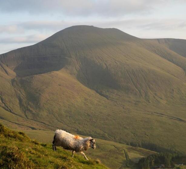 مبيت وإفطار Barnahown, Mitchelstown