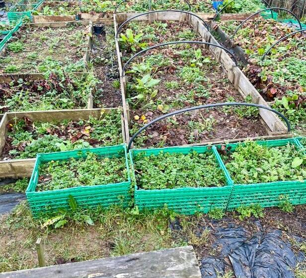 مبيت وإفطار Barnahown, Mitchelstown