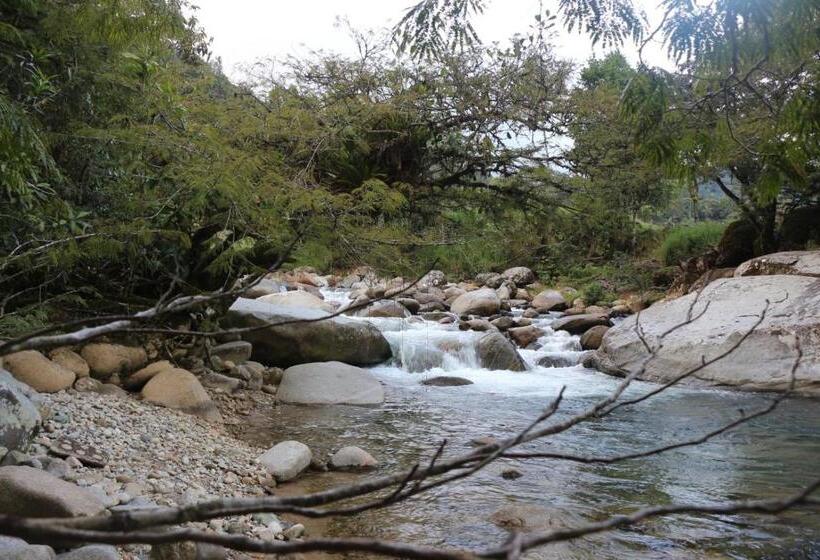 בית מלון כפרי Naturilandia