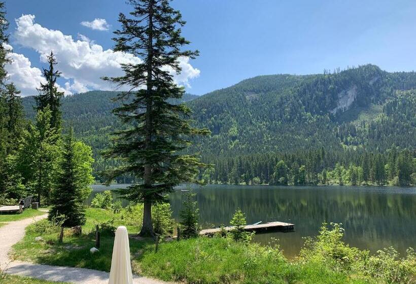 פנסיון Ausseerhaus Im Grünen