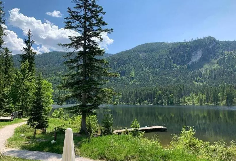 ペンション Ausseerhaus Im Grünen