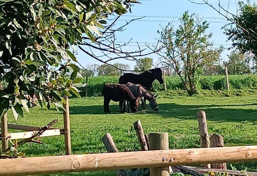 Пансион Domaine De Karoli