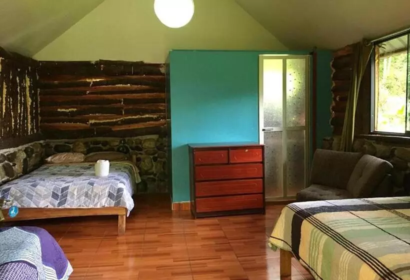 ペンション Madera Verde Ecolodge