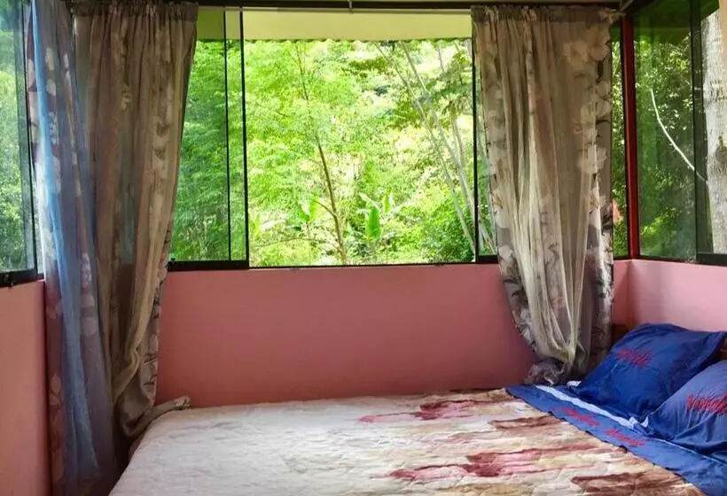 ペンション Madera Verde Ecolodge