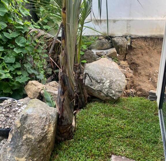 پانسیون Villa Manuia Guest Room