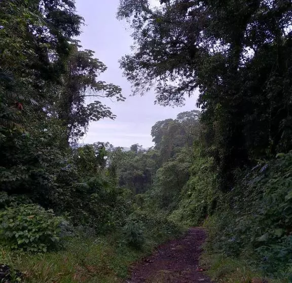 Aamiaismajoitus (B&B) Finca Del Cielo