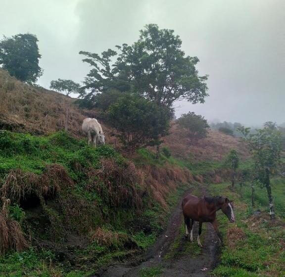 ベッドアンドブレックファースト Finca Del Cielo