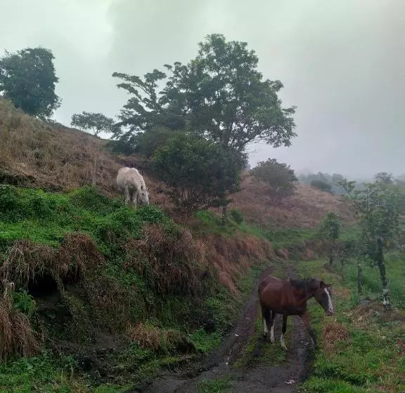 Aamiaismajoitus (B&B) Finca Del Cielo