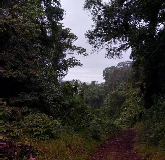 ベッドアンドブレックファースト Finca Del Cielo