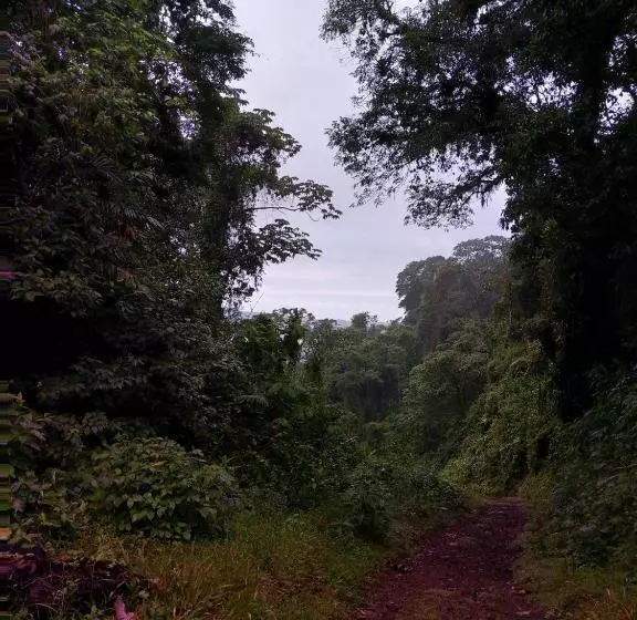 Aamiaismajoitus (B&B) Finca Del Cielo