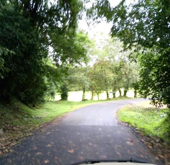 ベッドアンドブレックファースト Finca Del Cielo