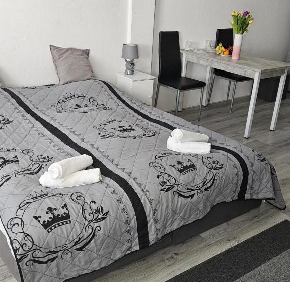 住宿加早餐 Zimmervermietung Freiberg Zentrum