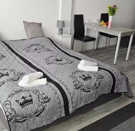 ベッドアンドブレックファースト Zimmervermietung Freiberg Zentrum