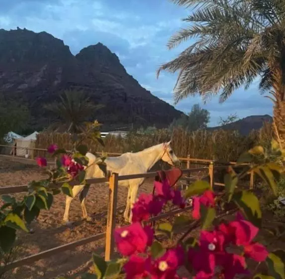 هتل مبيت نسيم الجبل