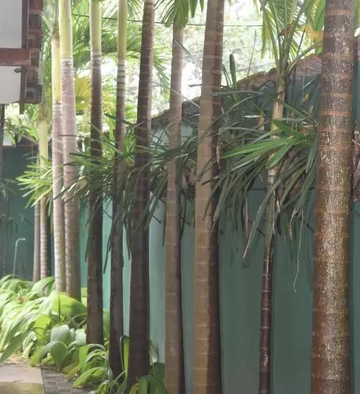 Hotelli Andy Homestay Units