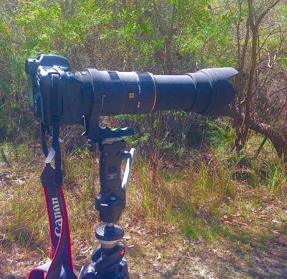 酒店 Jabiru Wetland Farmstay