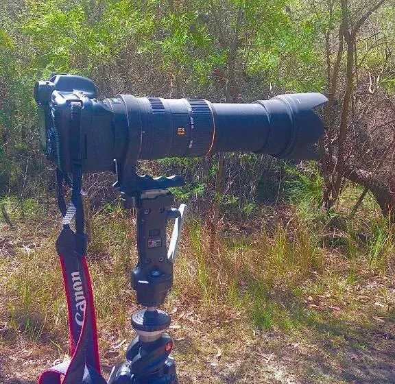 ホテル Jabiru  Wetland Farmstay