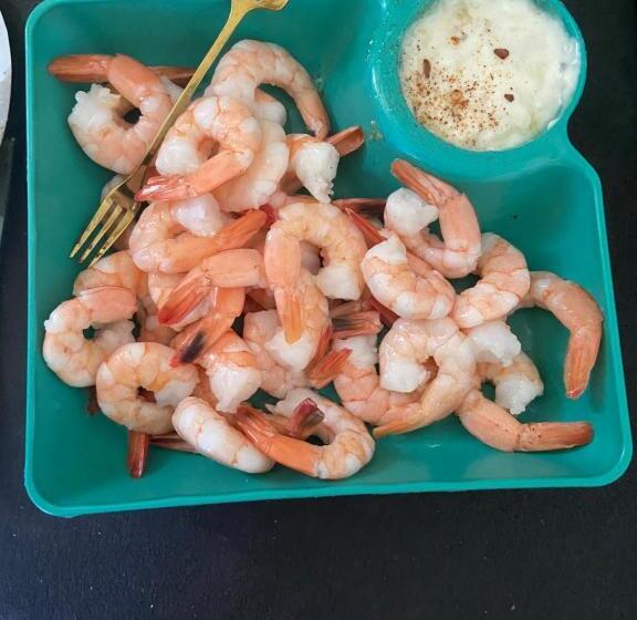 酒店 Jabiru Wetland Farmstay