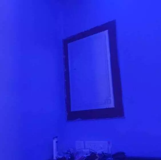 هتل New Nayantara Lodge