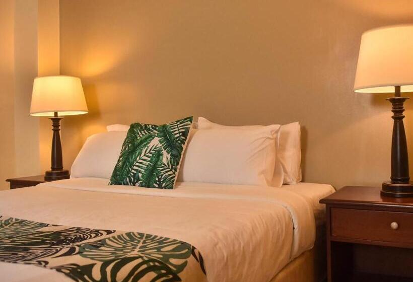 בית מלון כפרי Stay Inn Plus