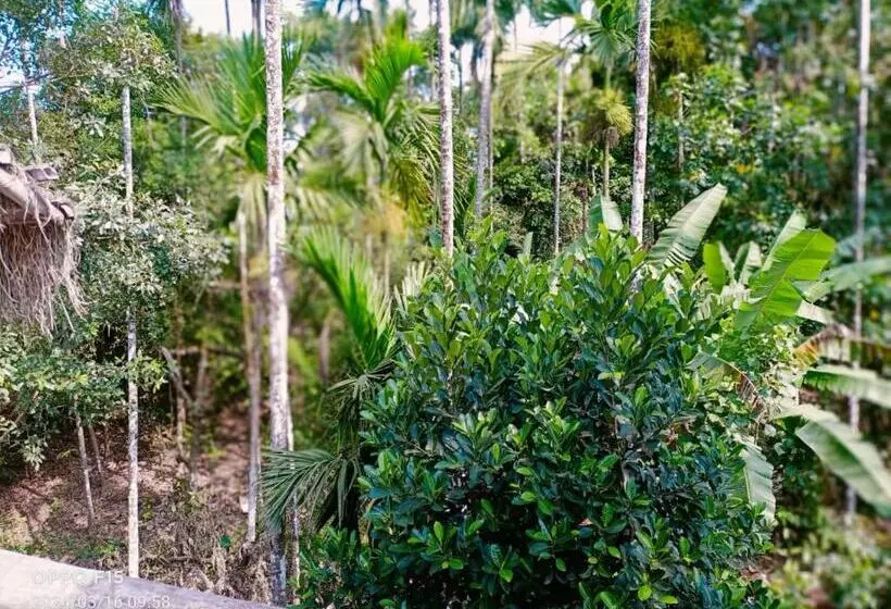 ホテル Streaming Valley Independent Coffee Estate Stay