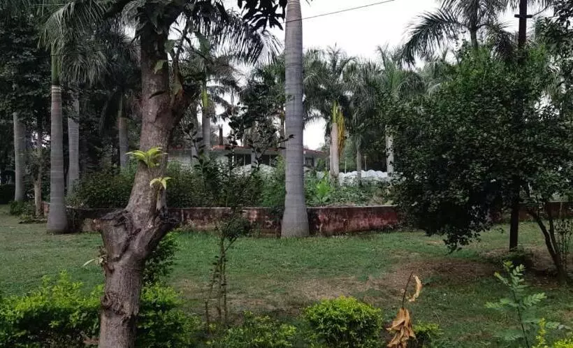 Hotelli The Baagh Jungle Resort