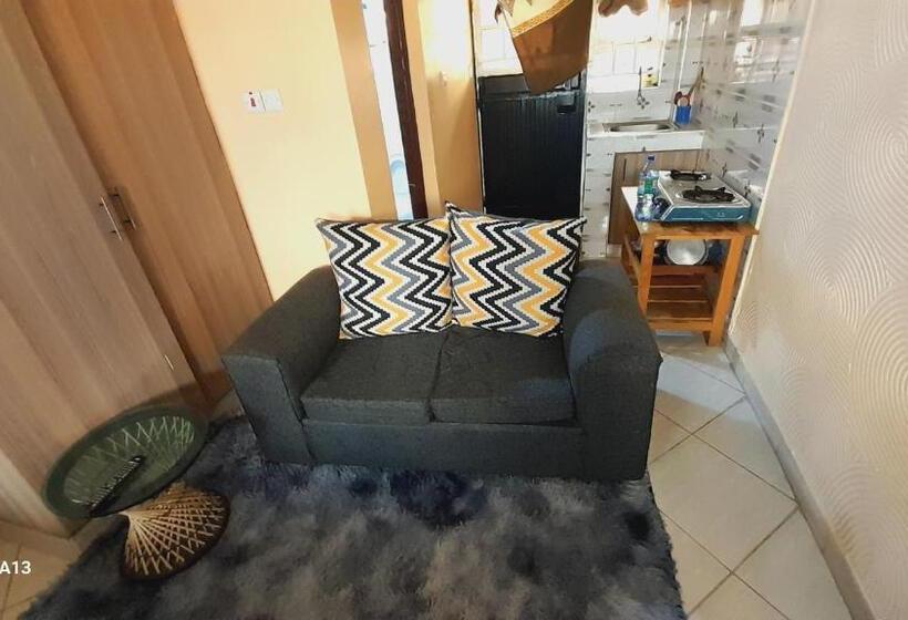 پانسیون Studios In Roysambu