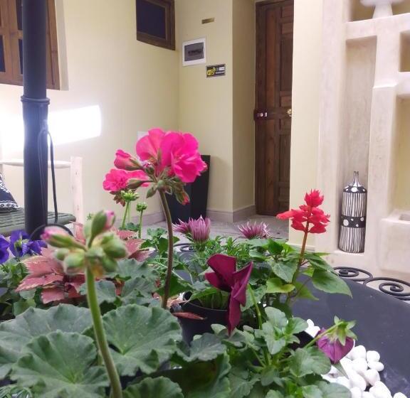 Riad Bouganville Bleu