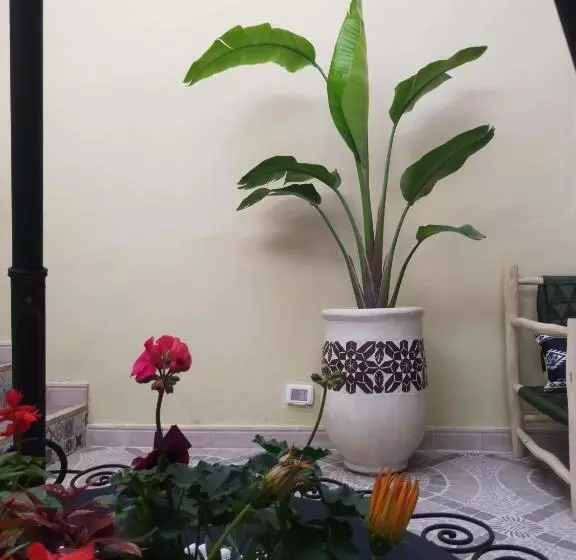 Riad Bouganville Bleu