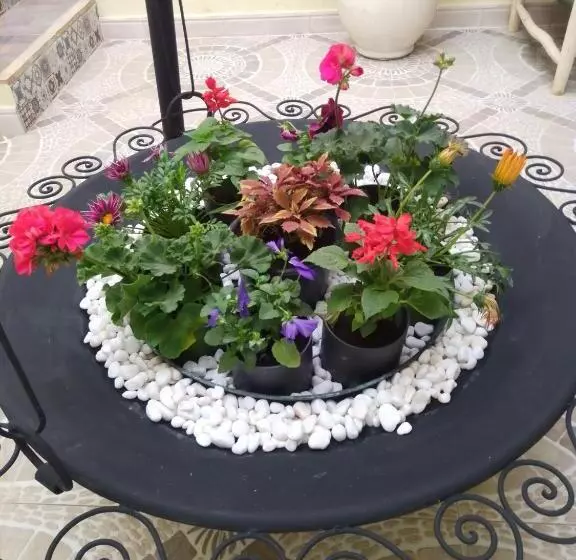 Riad Bouganville Bleu