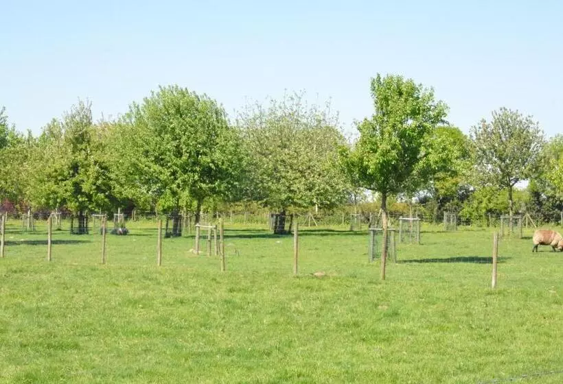 B & B Landhuis Ter Velt