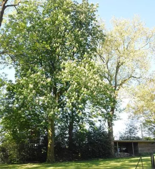 B & B Landhuis Ter Velt