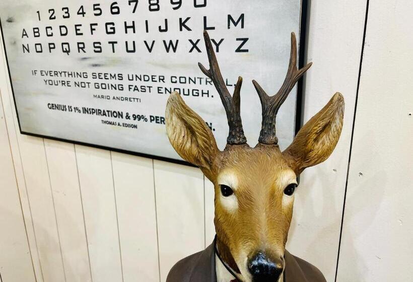 Bed and Breakfast Hirschheimat By Goldener Hahn