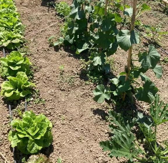 تختخواب و صبحانه La Casa Nell Orto