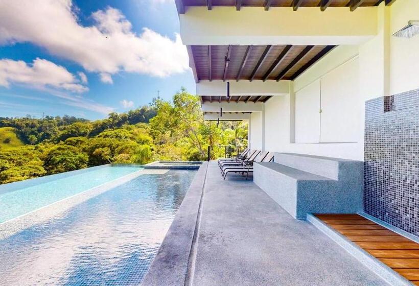 住宿加早餐  Odyssey Boutique