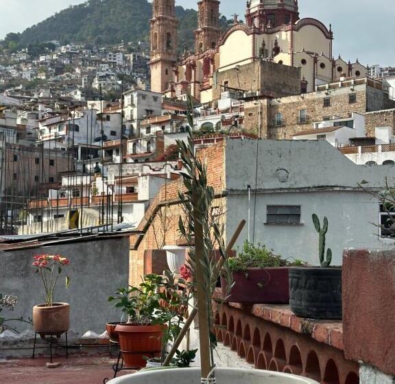 تختخواب و صبحانه Starlight Oasis