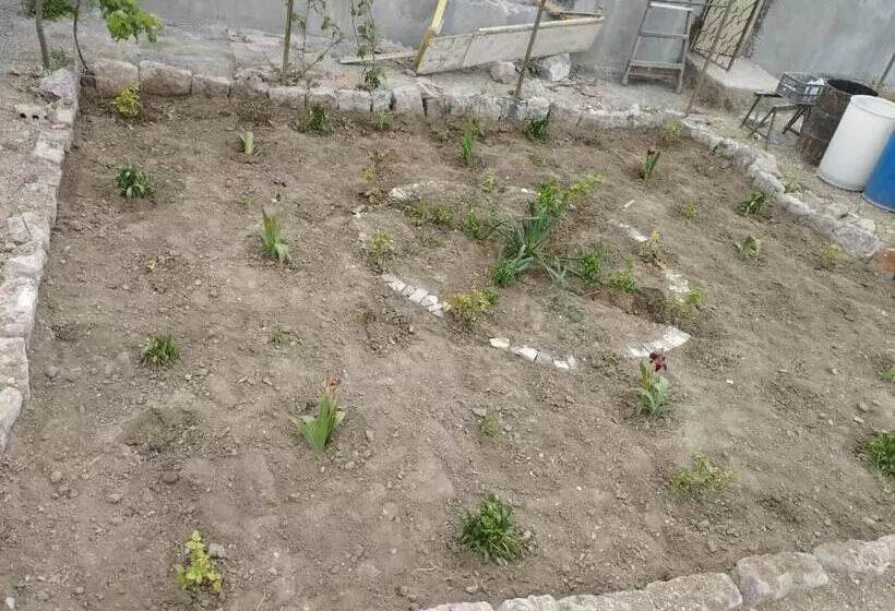 Aamiaismajoitus (B&B) Veni Vedi Vidi