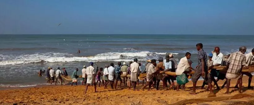 ベッドアンドブレックファースト Marigold Apart Hotel Negombo