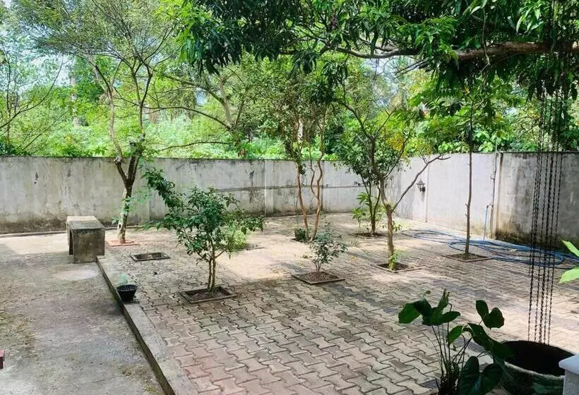 ベッドアンドブレックファースト Marigold Apart Hotel Negombo