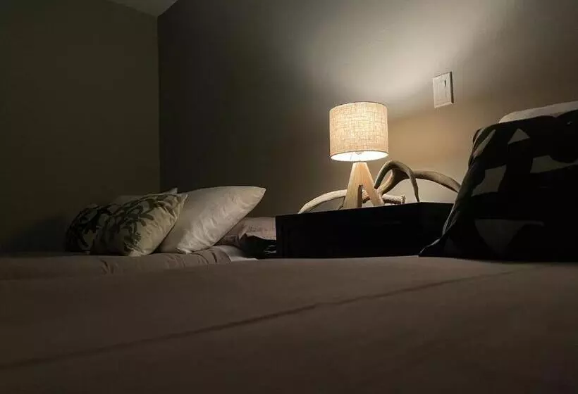 ホテル Elesel Lodge