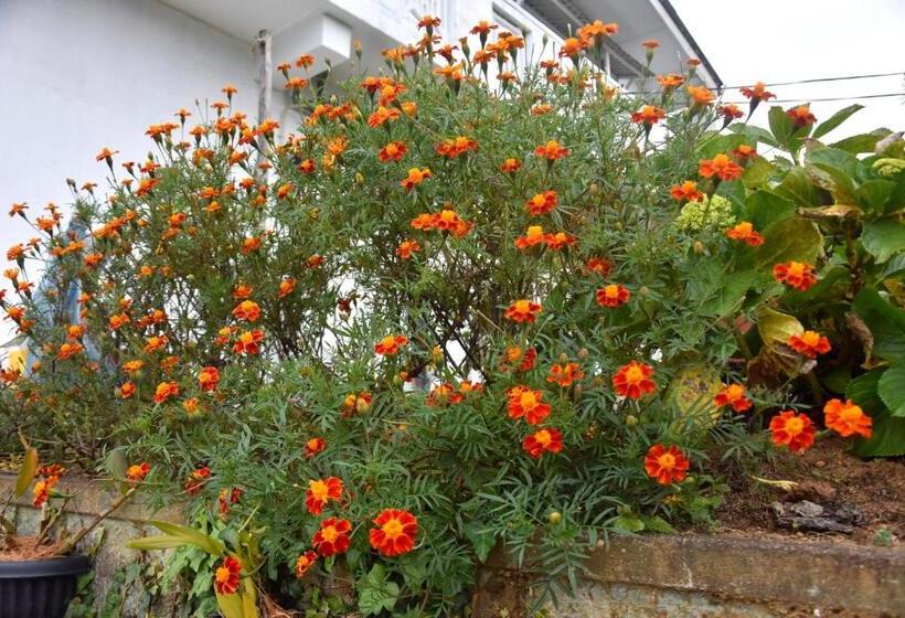 پانسیون Carmalin Holiday Bungalow