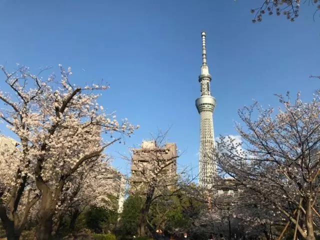 هاستل Sky Tree Inn ⅱ（晴樹宿ⅱ）