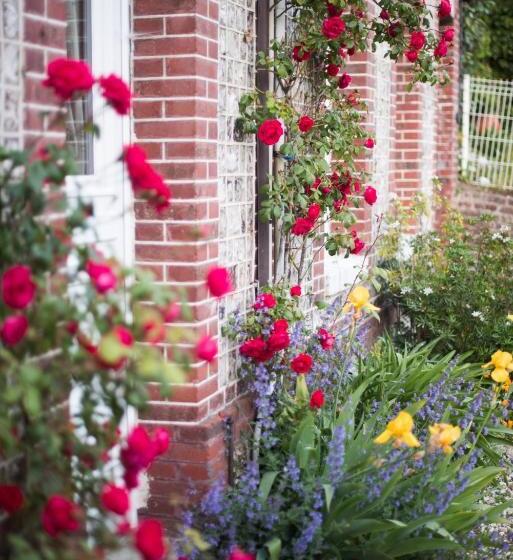 تختخواب و صبحانه Chambres D Hôtes Stella Mare