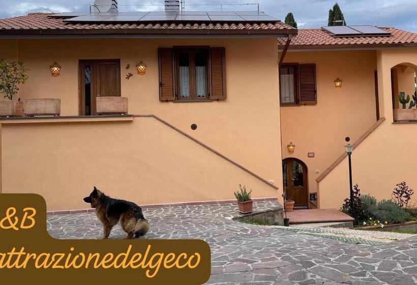 تختخواب و صبحانه Lattrazionedelgeco