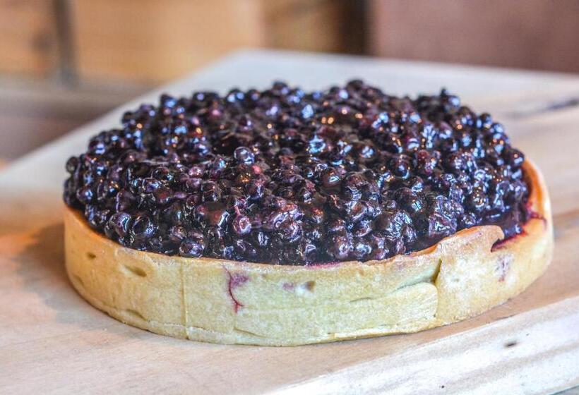 Отель Base Camp Lodge Albertville