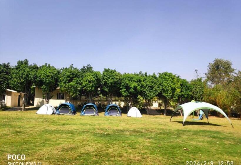 Otel Trance Veechika