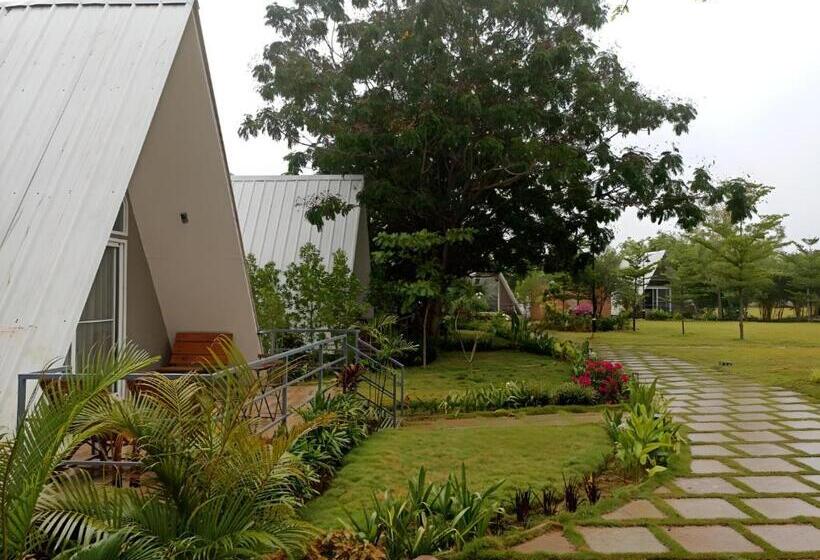 Otel Trance Veechika