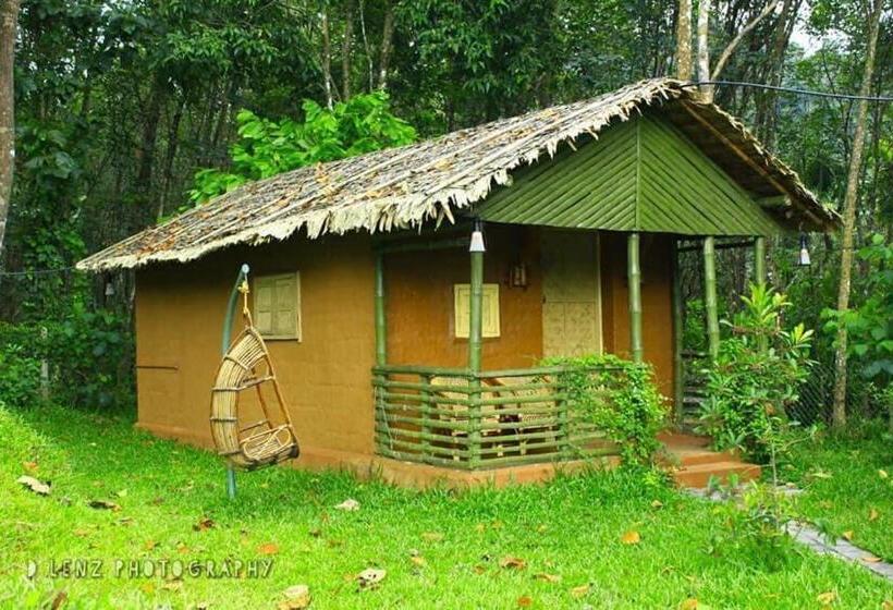 פנסיון Budgies Cottage