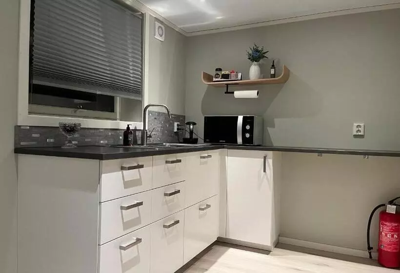 Majatalo Cozy Basement Apartment In Orkanger