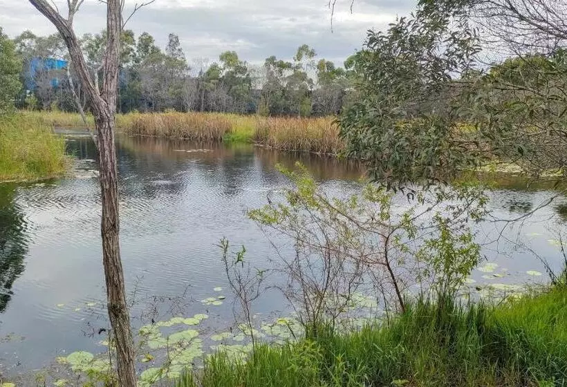 Majatalo The Woodlands Hideaway   Premium Acreage Guesthouse